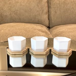 Planter pots for succulents with matching tray